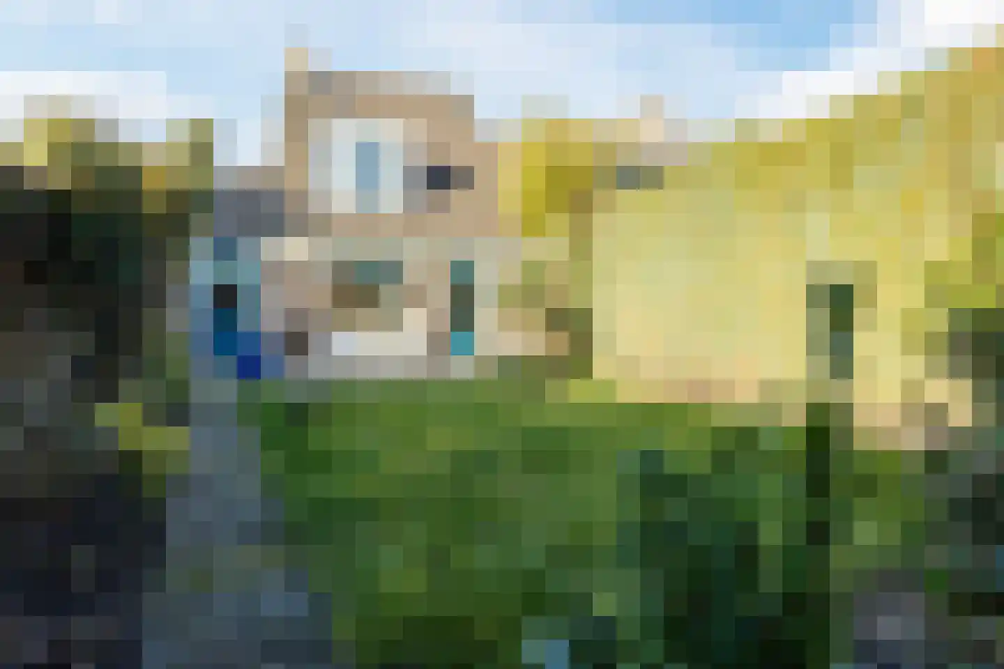 Kleefkruid 23 Cuijk thumbnail 29