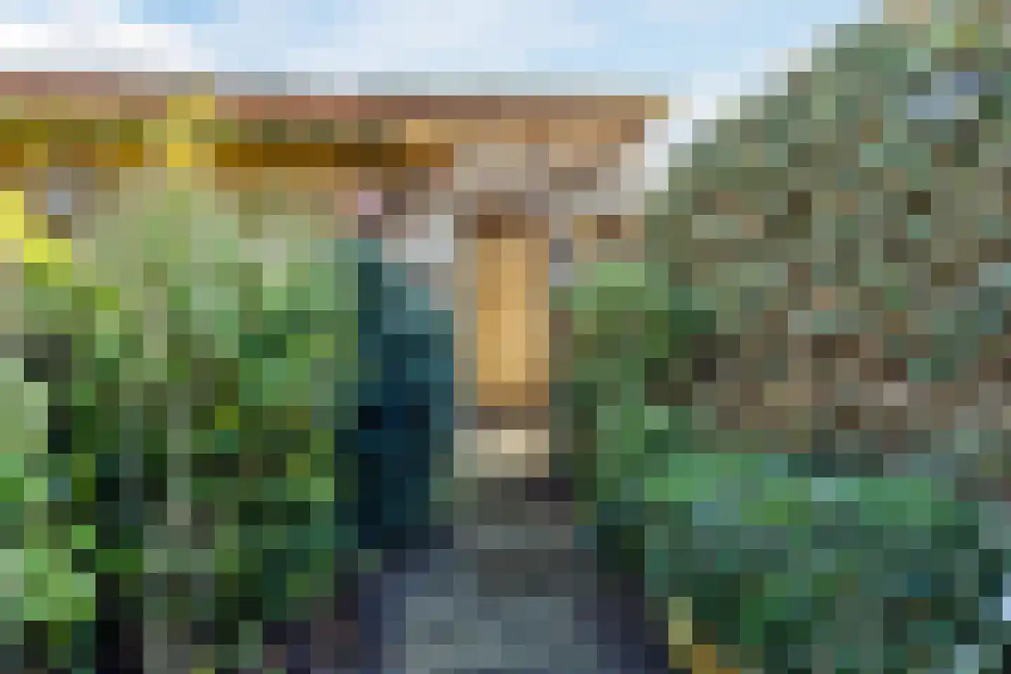 Kleefkruid 23 Cuijk thumbnail 30