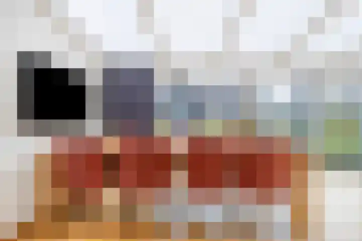 Kleefkruid 4 Venray thumbnail 10