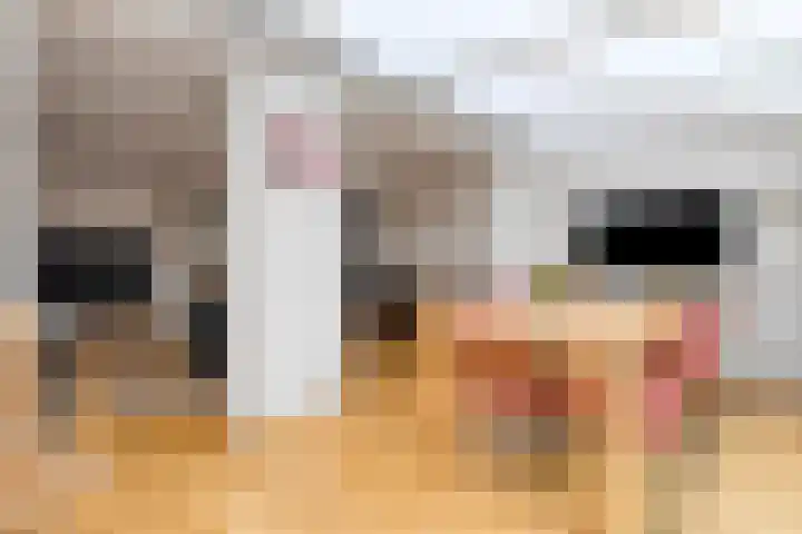 Kleefkruid 4 Venray thumbnail 13