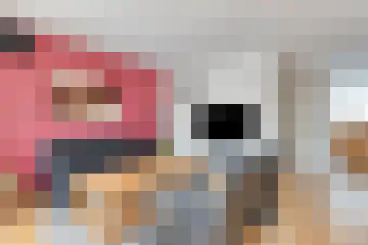 Kleefkruid 4 Venray thumbnail 15