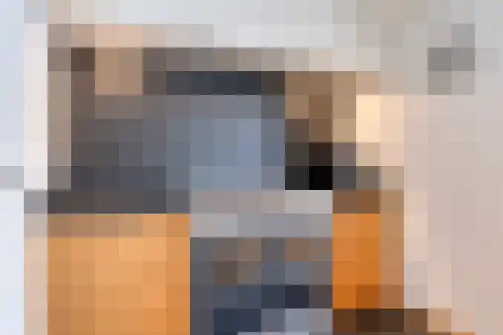 Kleefkruid 4 Venray thumbnail 18