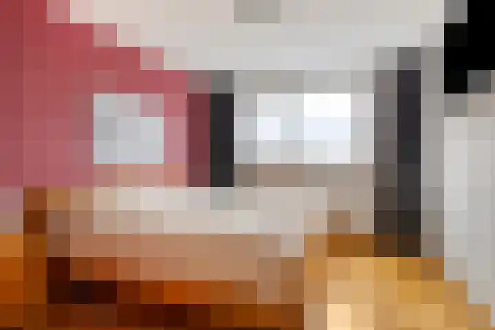 Kleefkruid 4 Venray thumbnail 20