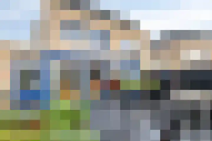 Kleefkruid 4 Venray thumbnail 29