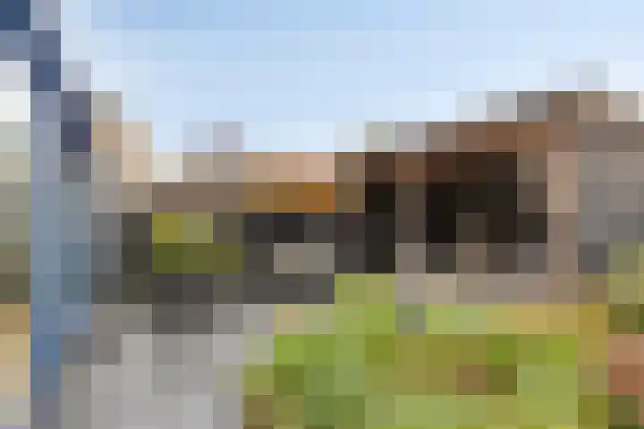 Kleefkruid 4 Venray thumbnail 30