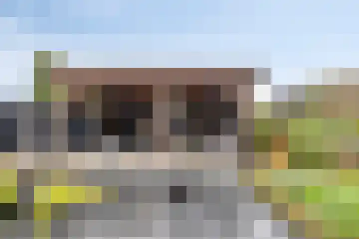 Kleefkruid 4 Venray thumbnail 31