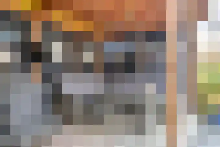 Kleefkruid 4 Venray thumbnail 33