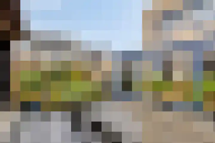 Kleefkruid 4 Venray thumbnail 34