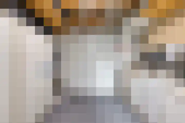 Kleefkruid 4 Venray thumbnail 37