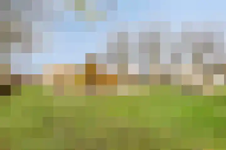 Kleefkruid 4 Venray thumbnail 40