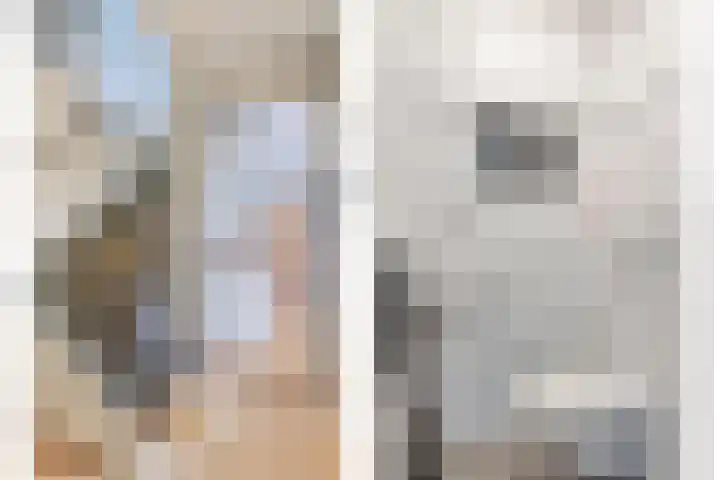 Kleefkruid 4 Venray thumbnail 7