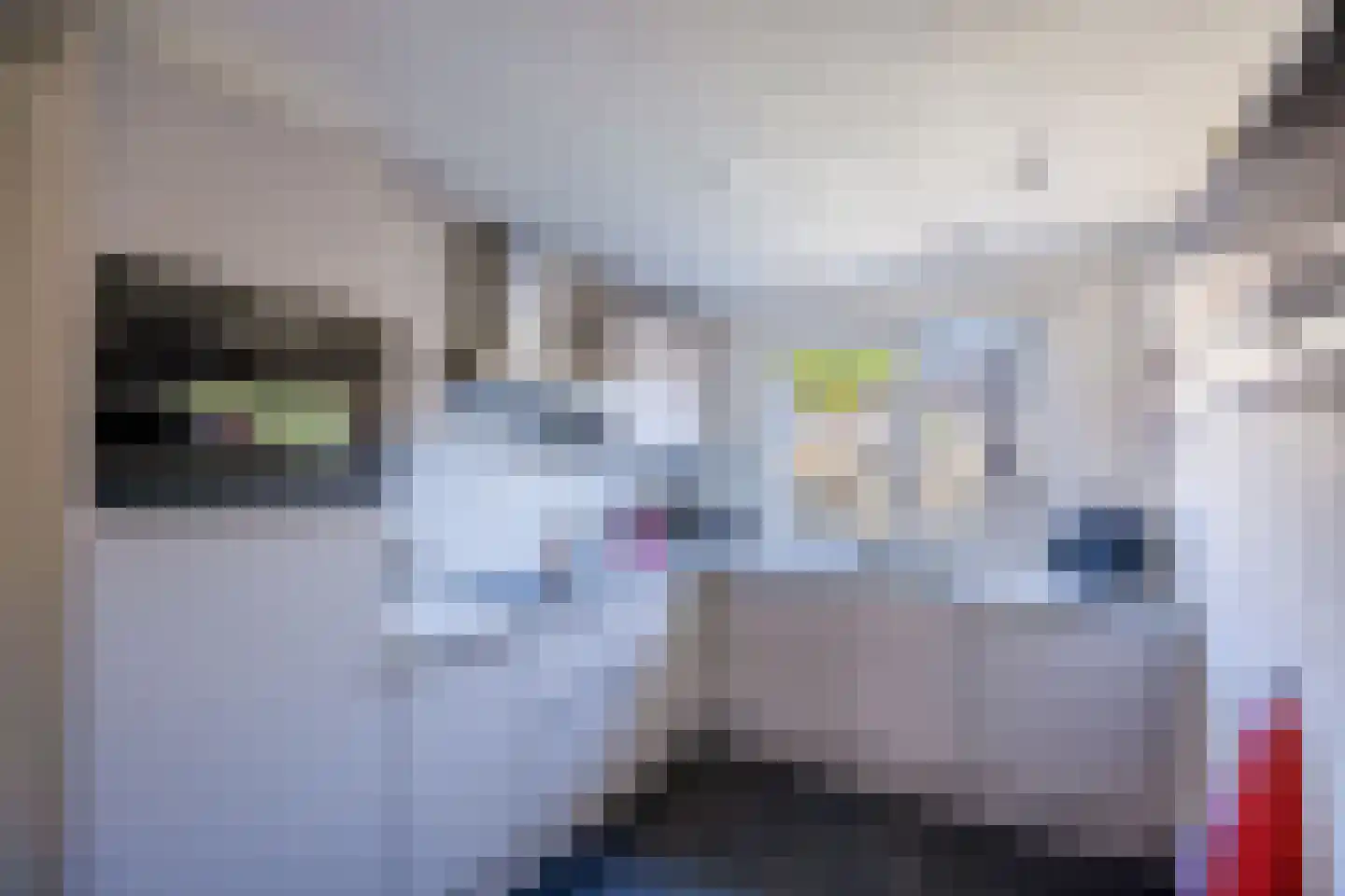 Kleefkruid 48 Cuijk thumbnail 14