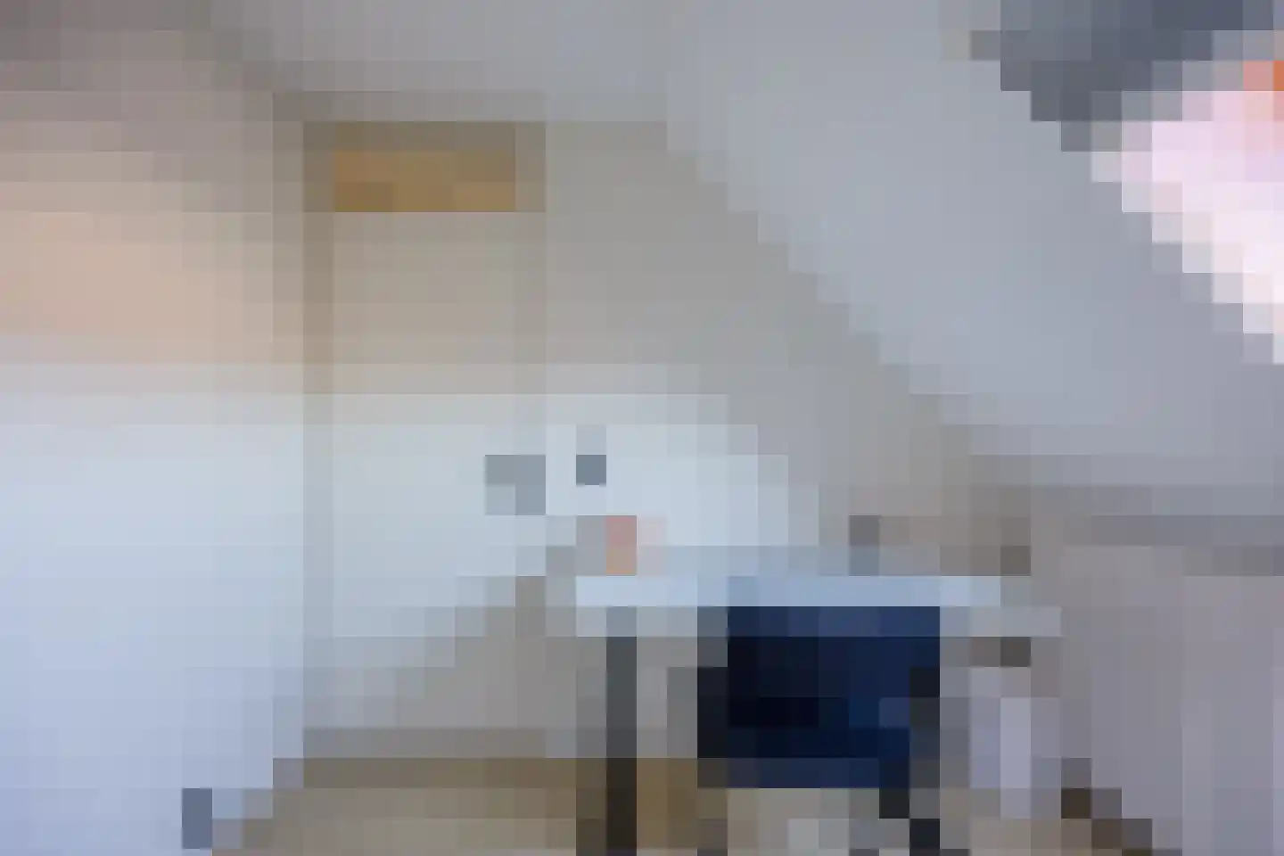 Kleefkruid 48 Cuijk thumbnail 25