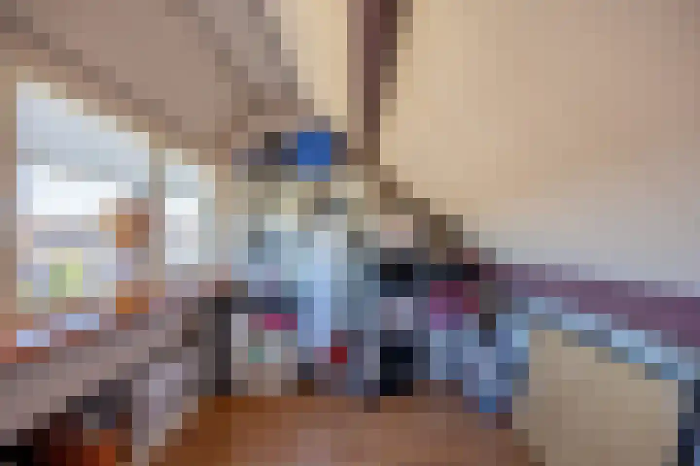 Kleefkruid 48 Cuijk thumbnail 27