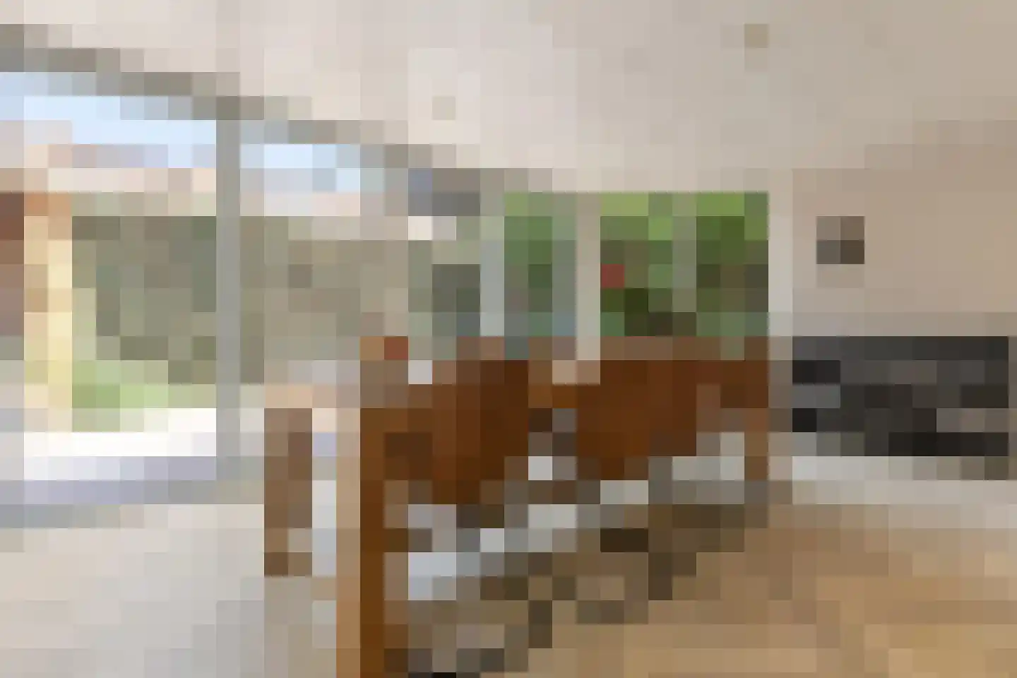 Kleefkruid 74 Cuijk thumbnail 10
