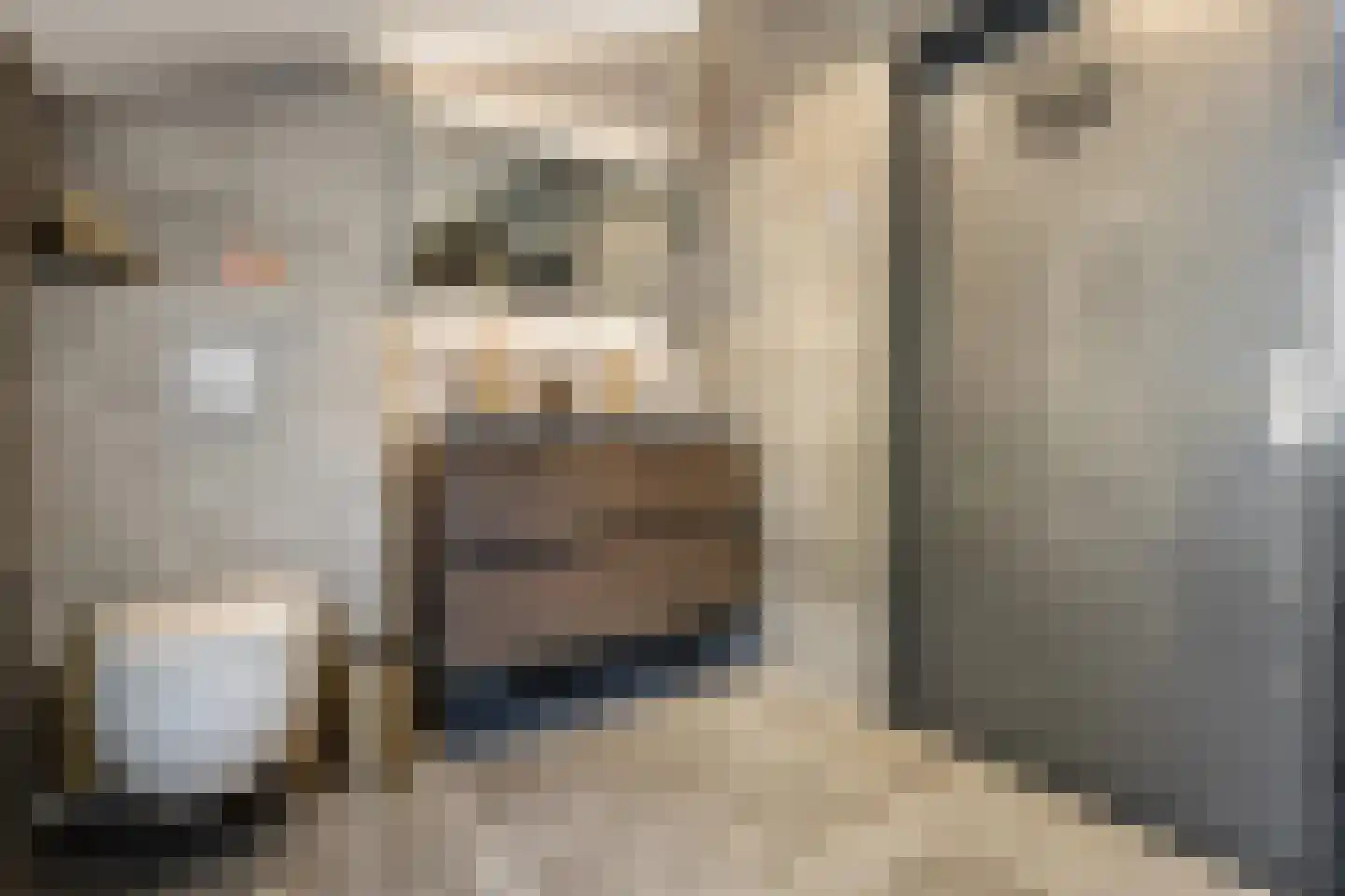 Kleefkruid 74 Cuijk thumbnail 17