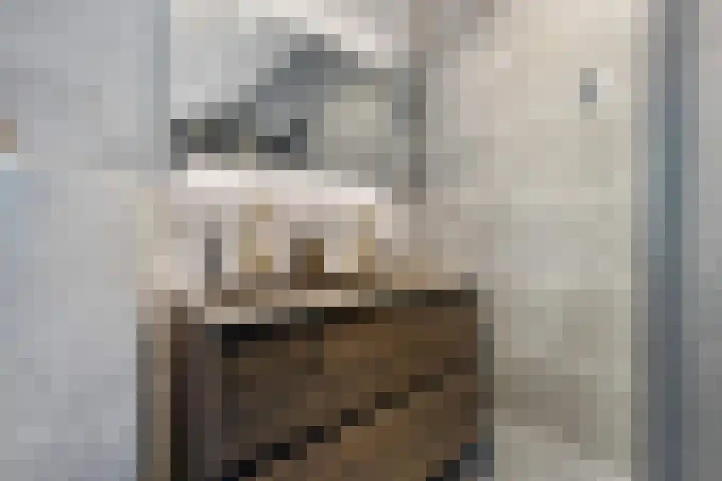Kleefkruid 74 Cuijk thumbnail 18