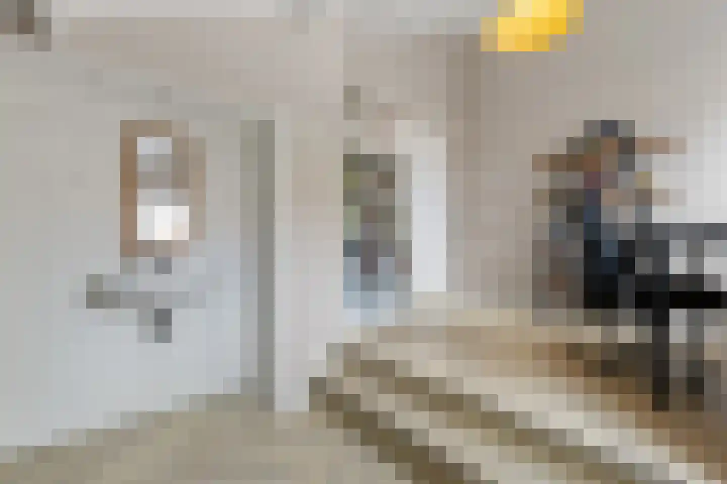 Kleefkruid 74 Cuijk thumbnail 20