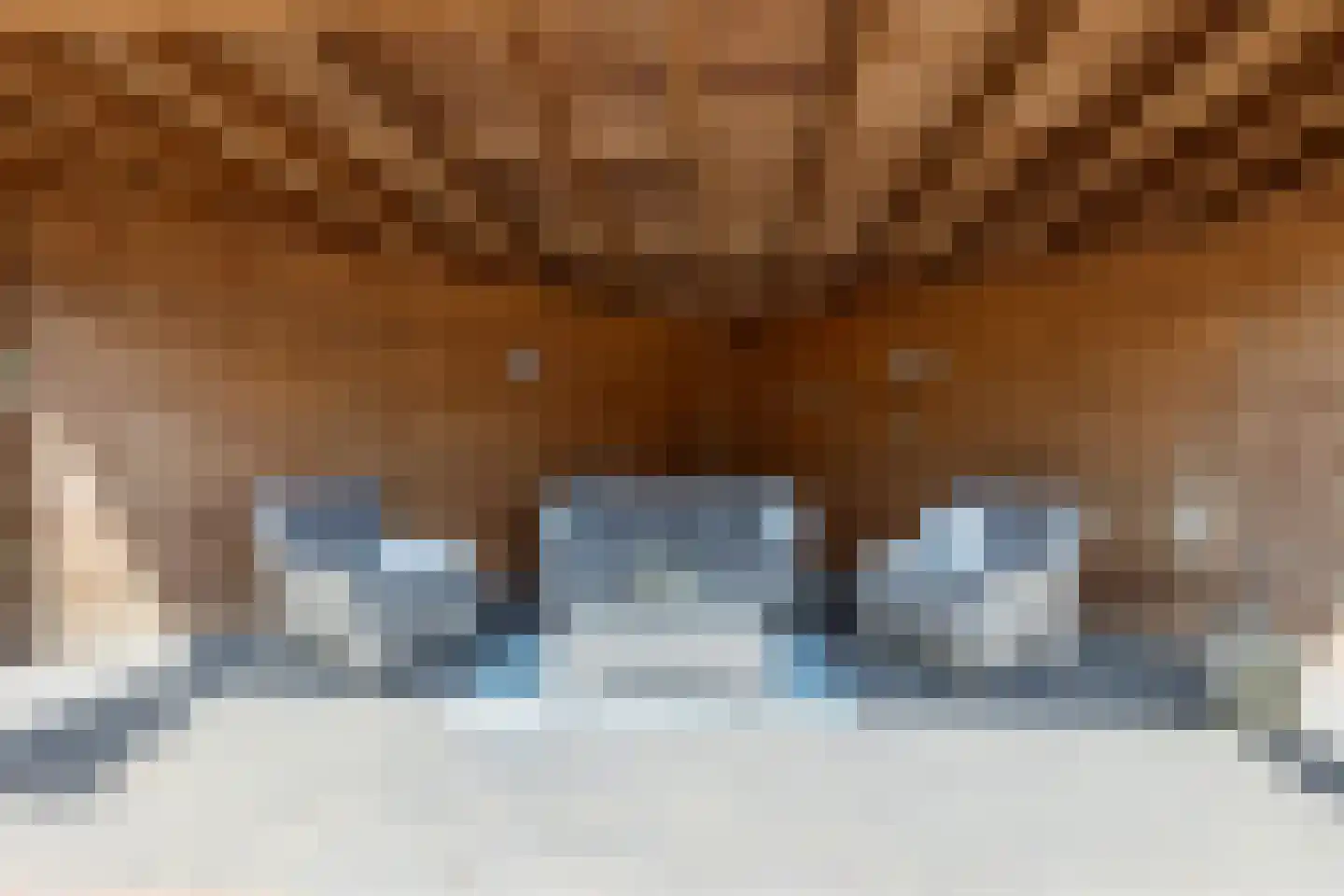 Kleefkruid 74 Cuijk thumbnail 23