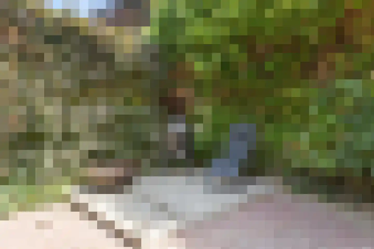 Kleefkruid 74 Cuijk thumbnail 24