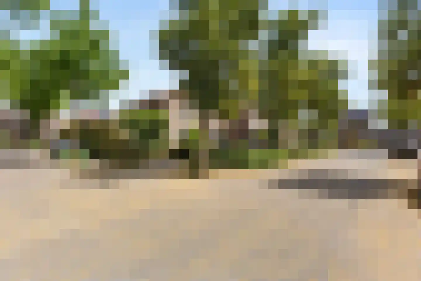 Kleefkruid 74 Cuijk thumbnail 25