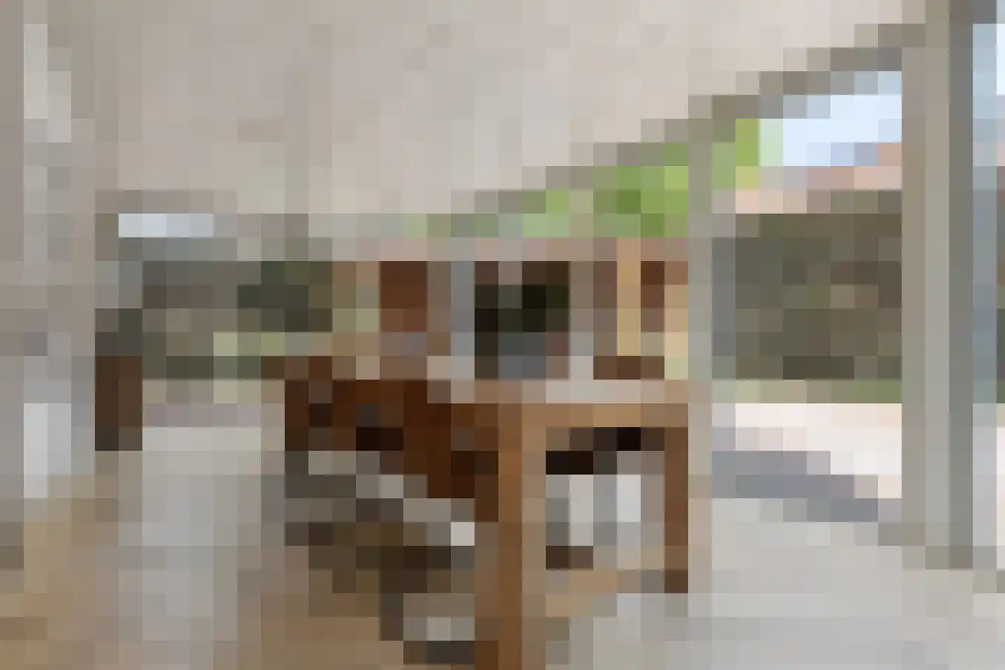 Kleefkruid 74 Cuijk thumbnail 4
