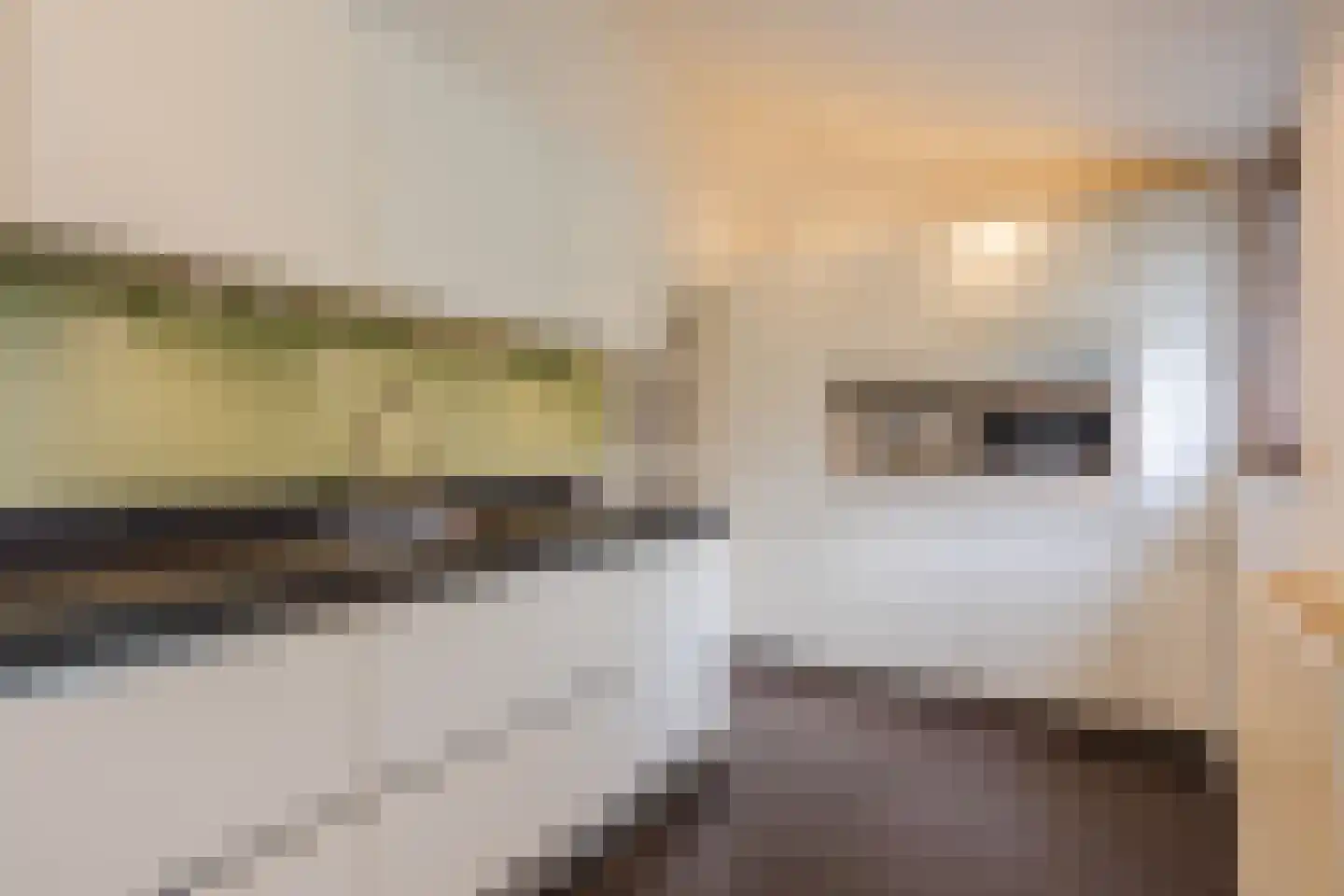 Kleefkruid 93 Cuijk thumbnail 11