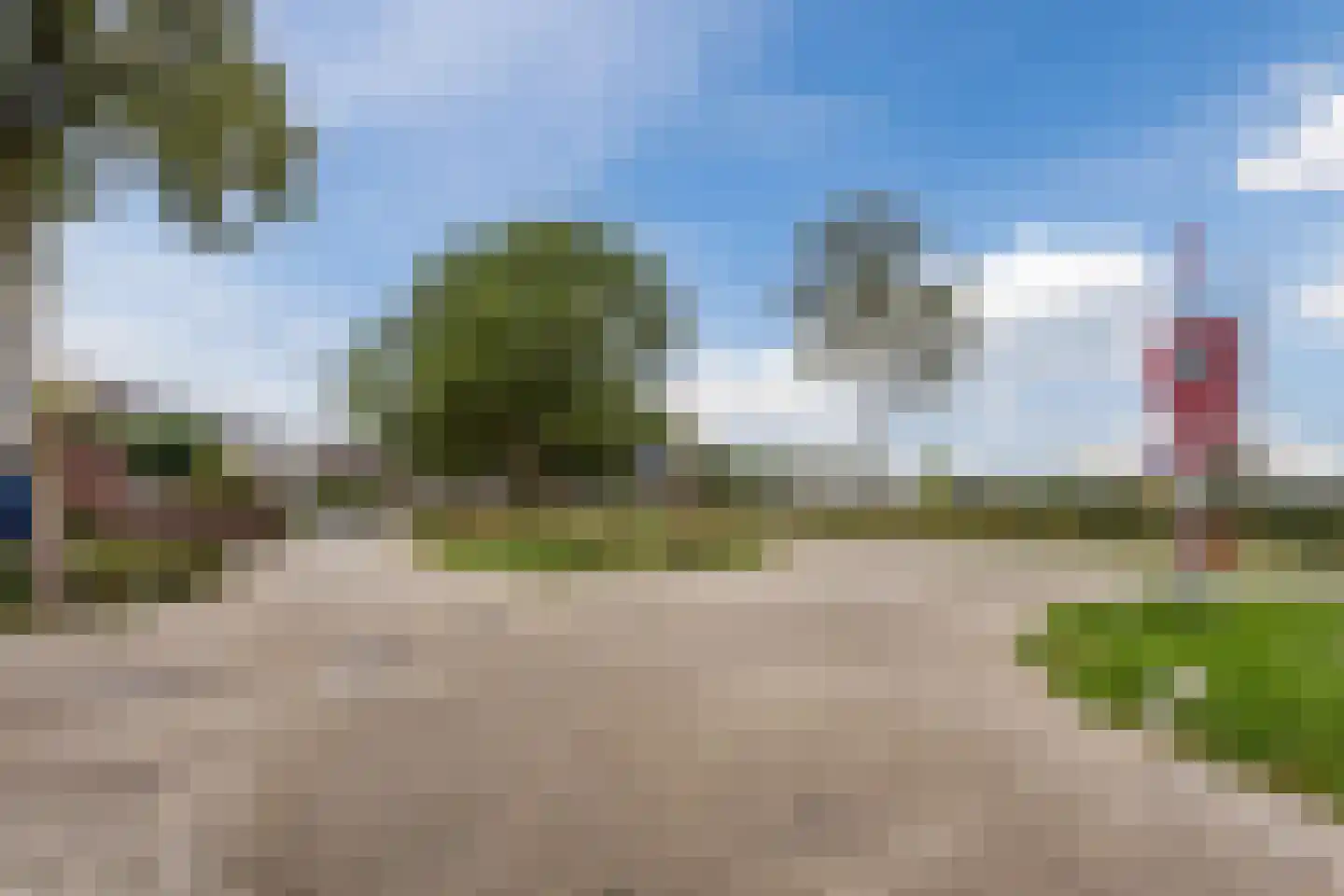 Kleefkruid 93 Cuijk thumbnail 28