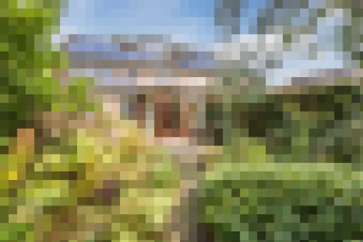 Kleefkruid 93 Cuijk thumbnail 4
