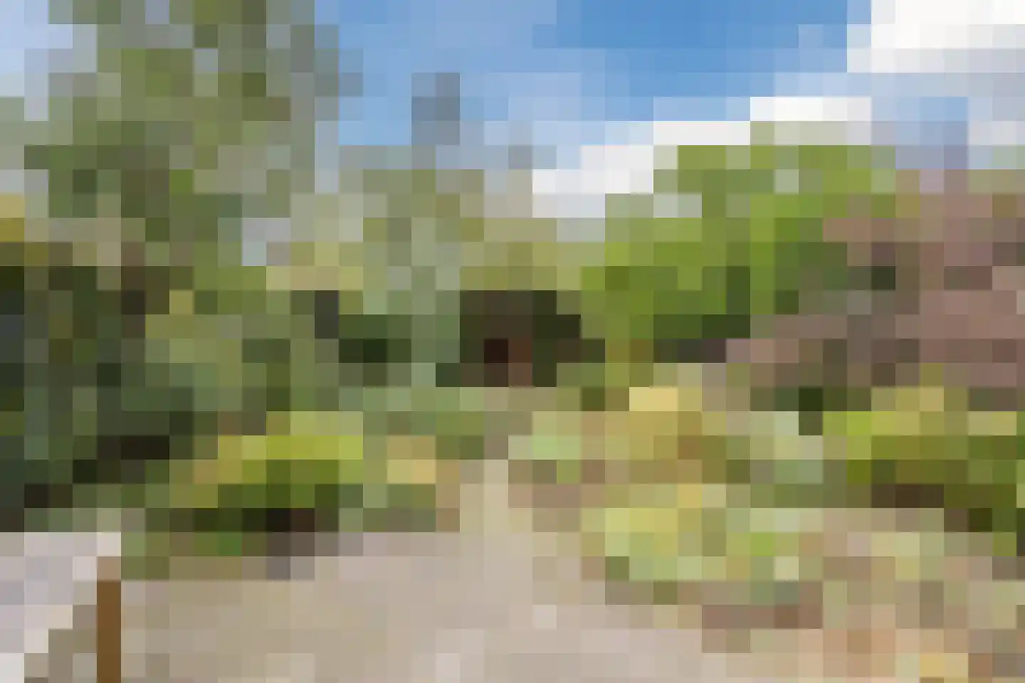 Kleefkruid 93 Cuijk thumbnail 5