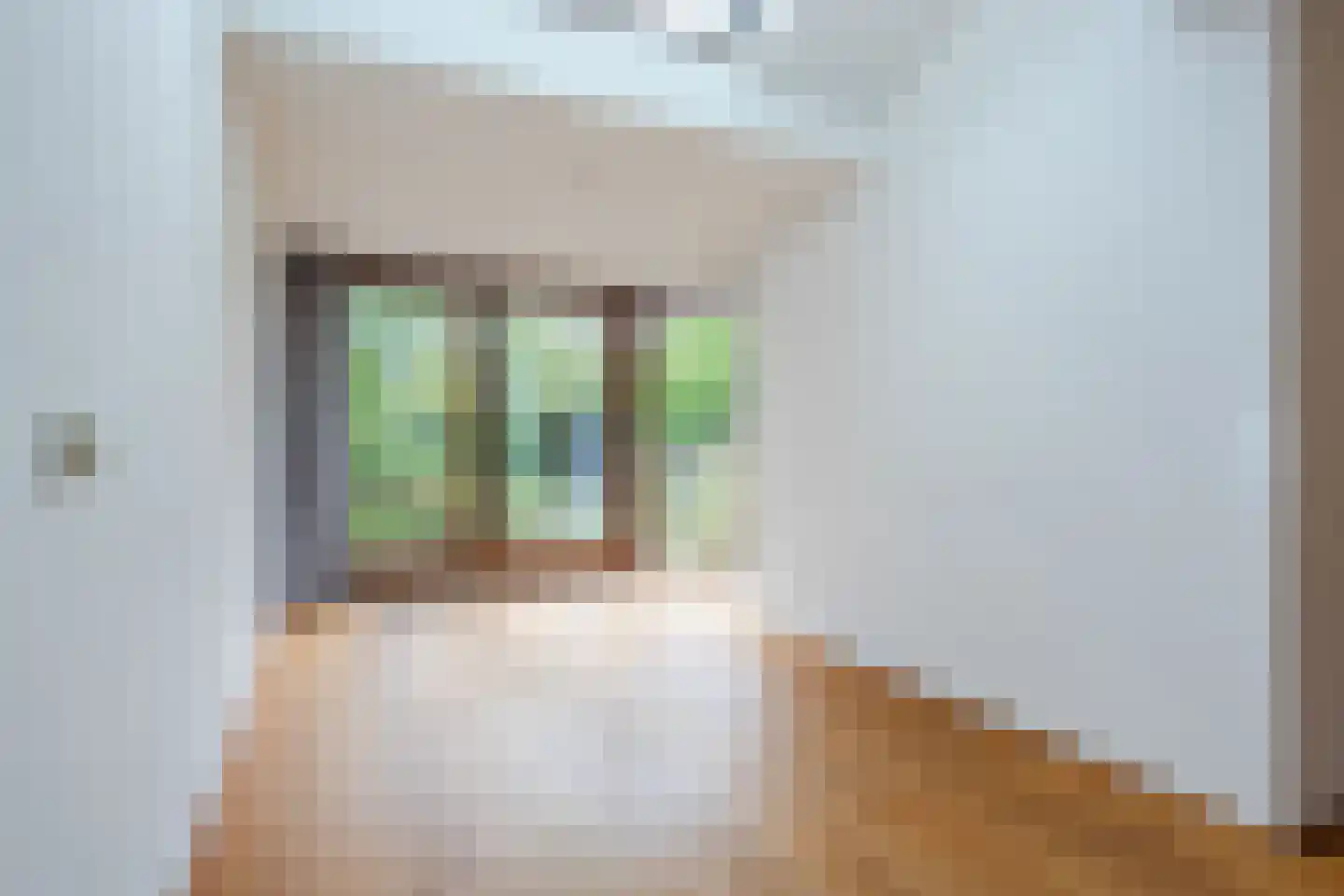 Kleefkruid 93 Cuijk thumbnail 9