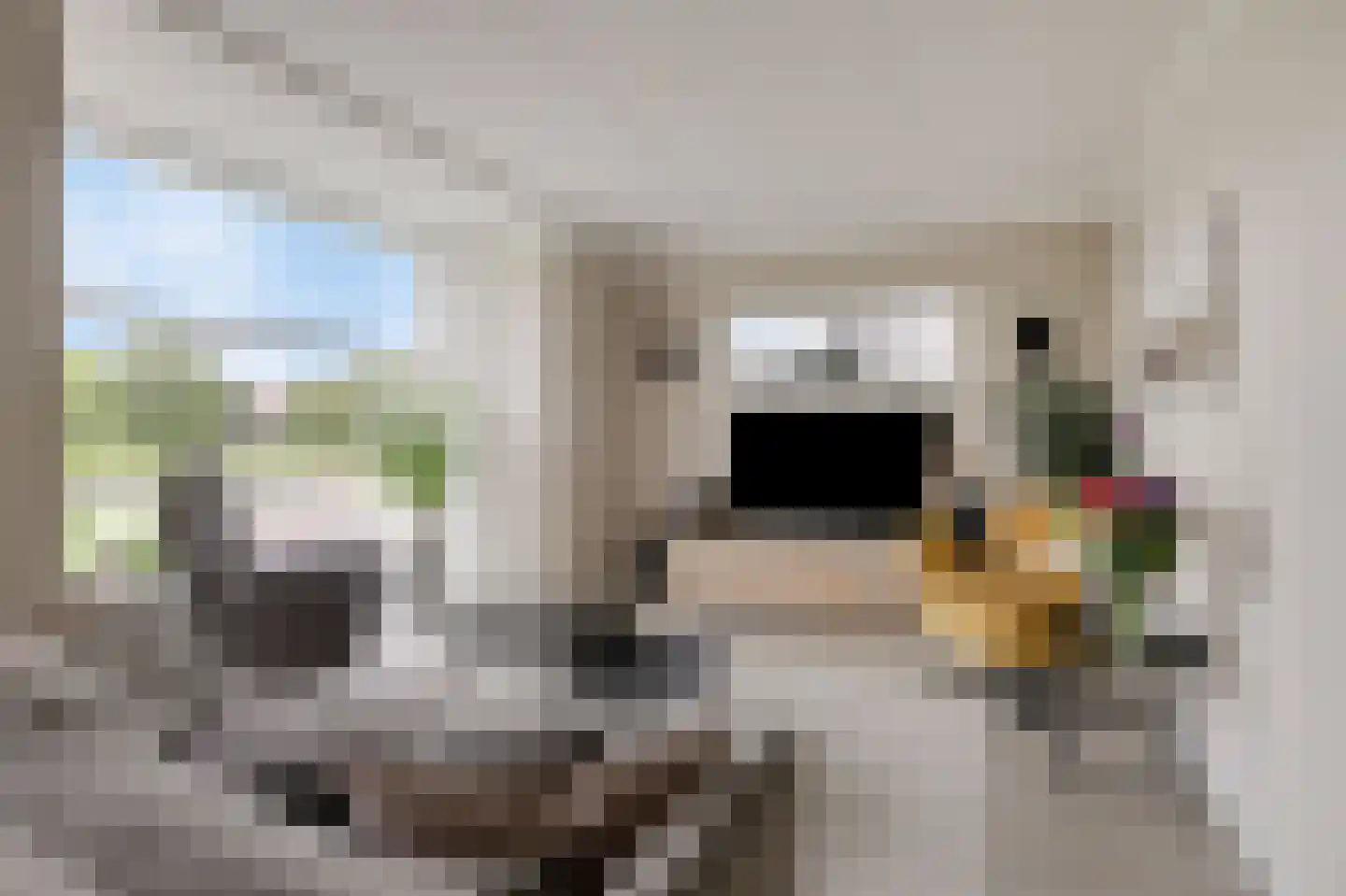 Kleefse Allee 9 Wehl thumbnail 19