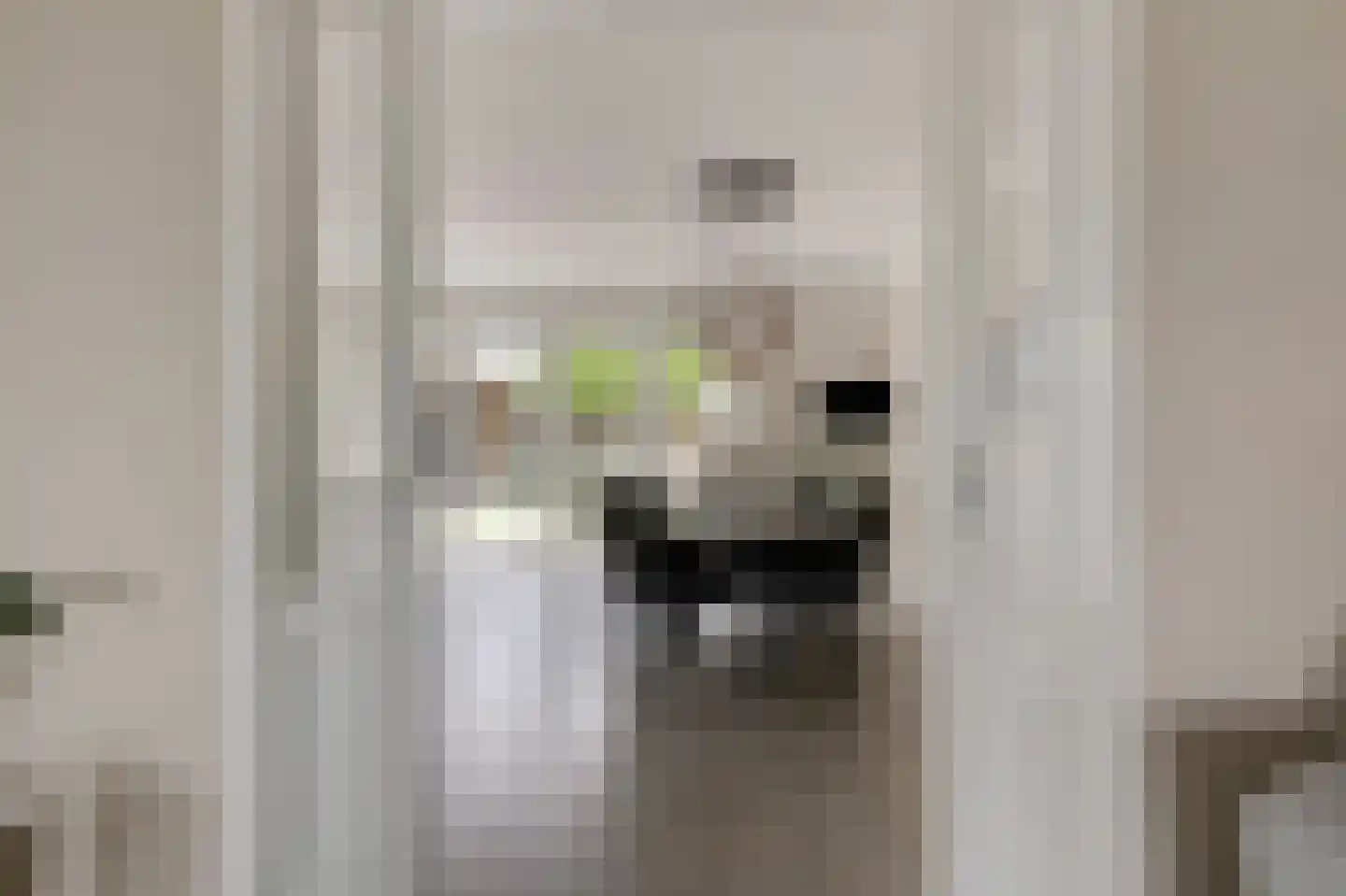 Kleefse Allee 9 Wehl thumbnail 22