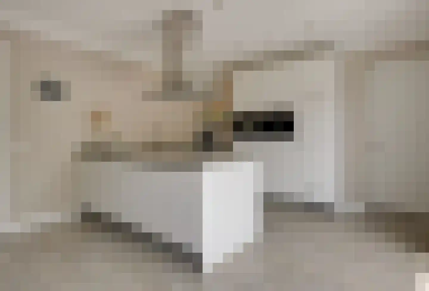 Kleefse Allee 9 Wehl thumbnail 27