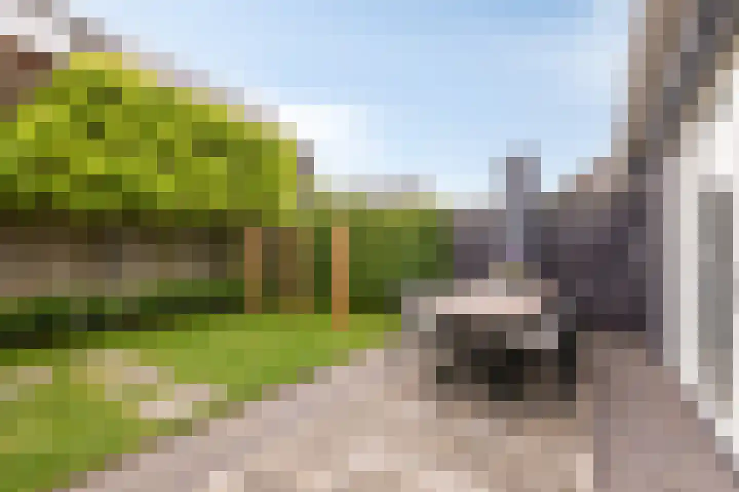 Kleefse Allee 9 Wehl thumbnail 31