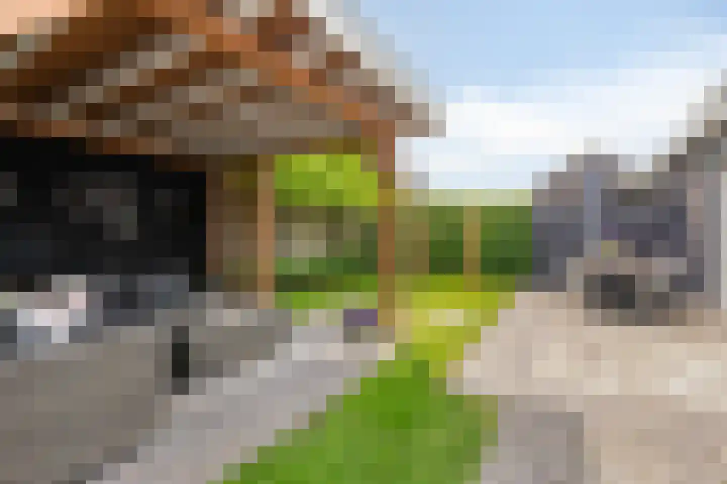 Kleefse Allee 9 Wehl thumbnail 36