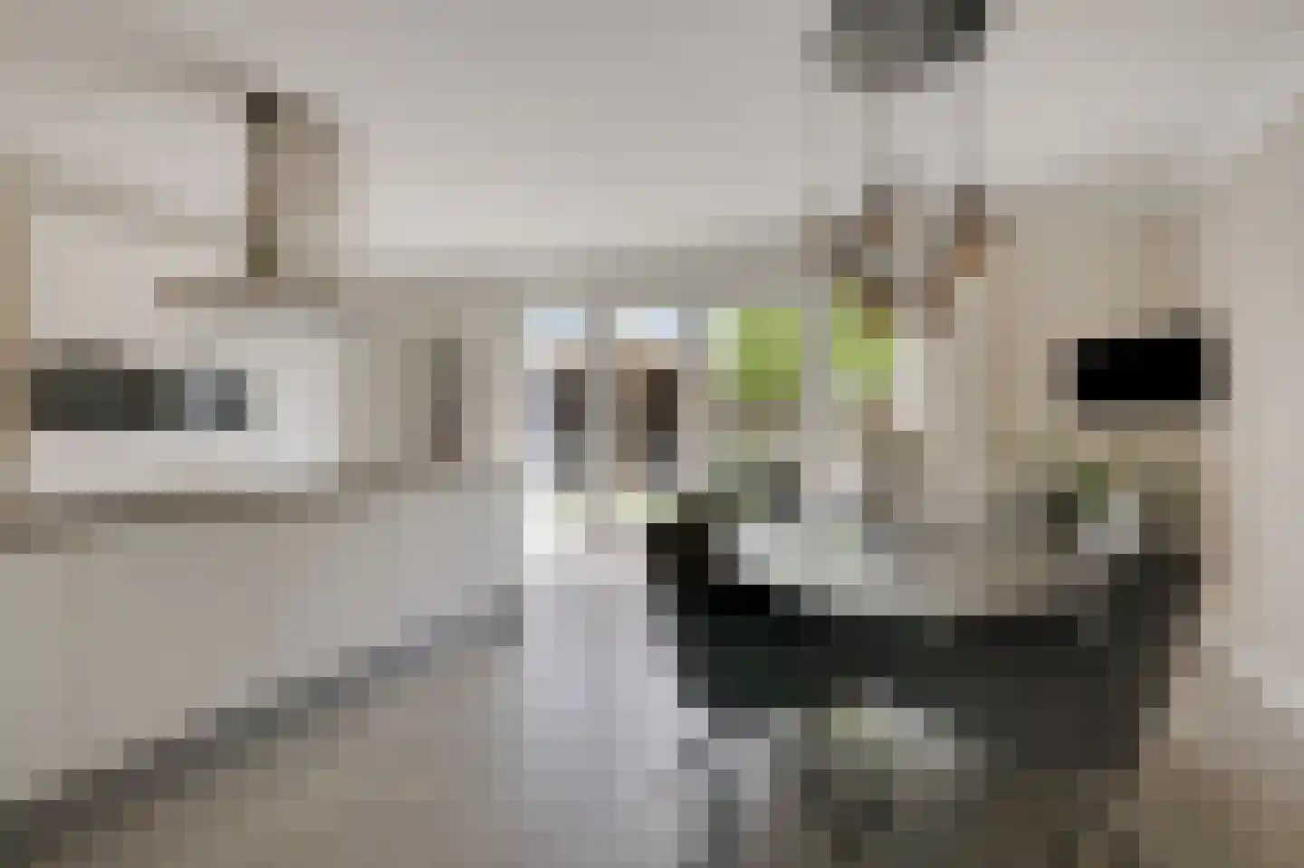Kleefse Allee 9 Wehl thumbnail 4