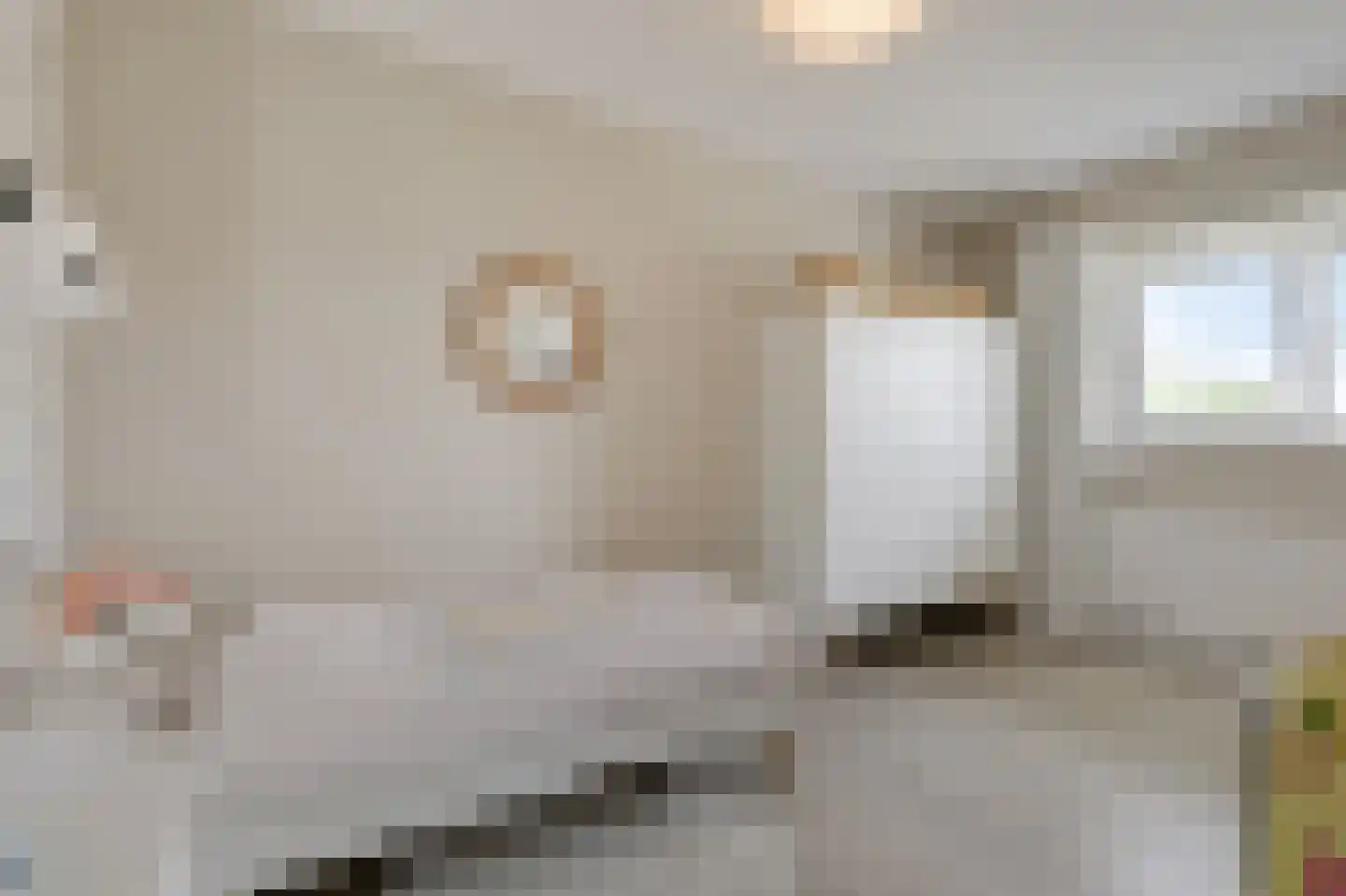 Kleefse Allee 9 Wehl thumbnail 46
