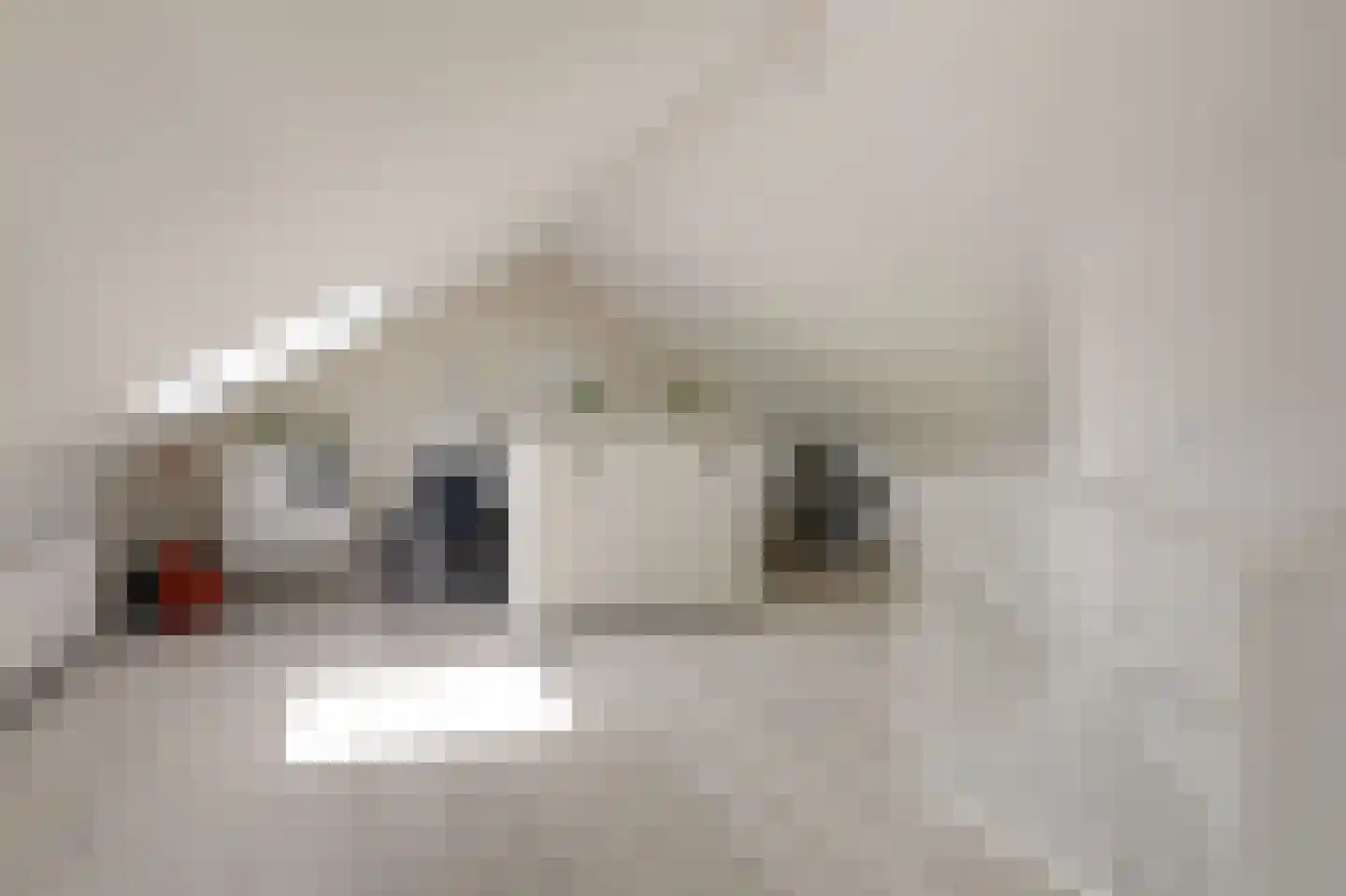 Kleefse Allee 9 Wehl thumbnail 52