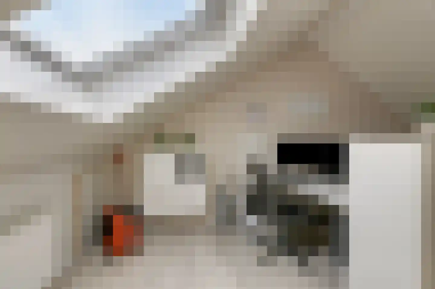 Kleefse Allee 9 Wehl thumbnail 55