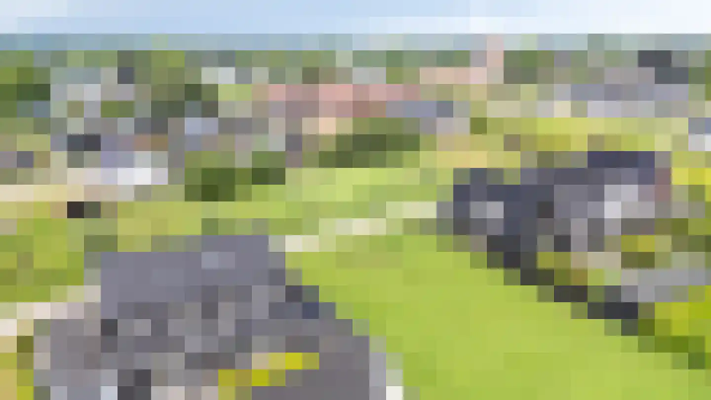 Kleefse Allee 9 Wehl thumbnail 8
