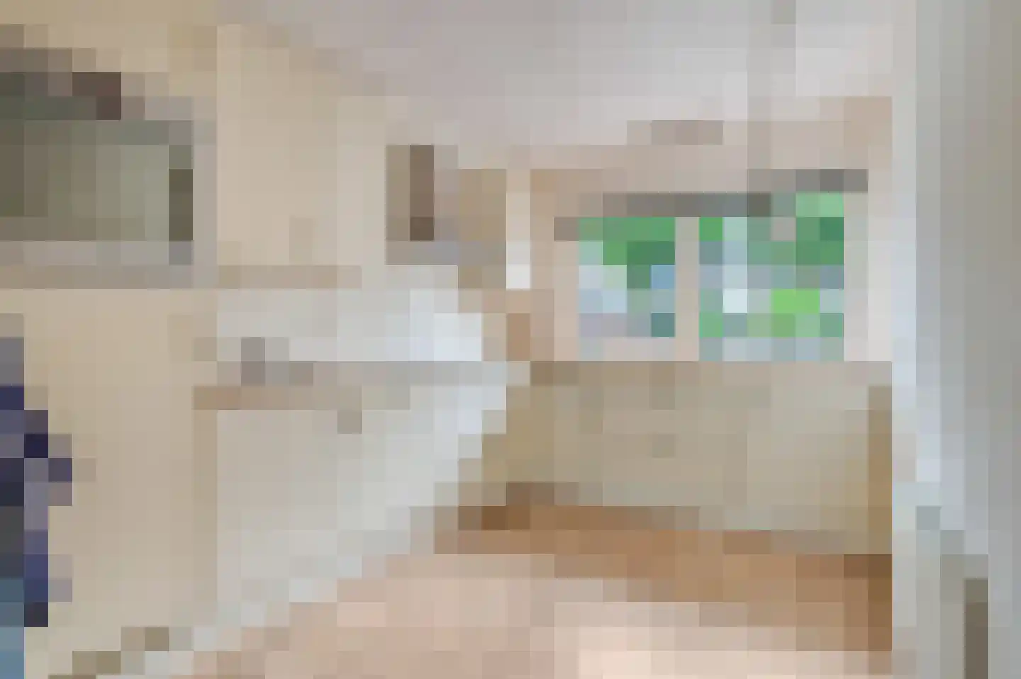Kleefsehoek 5 Ede thumbnail 6