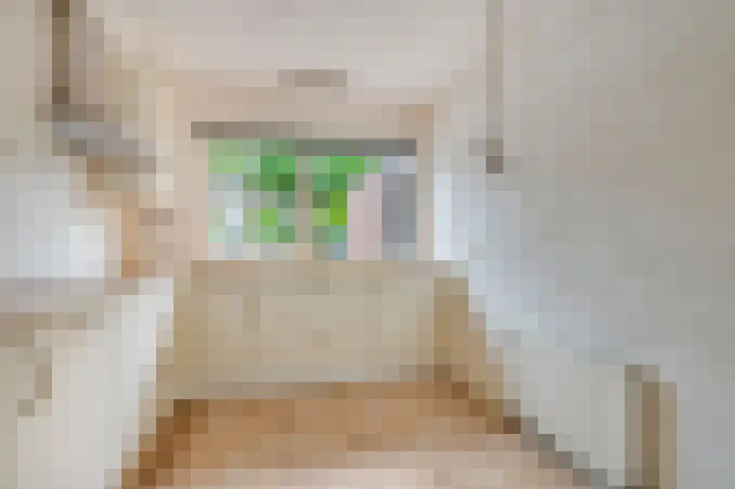 Kleefsehoek 5 Ede thumbnail 7