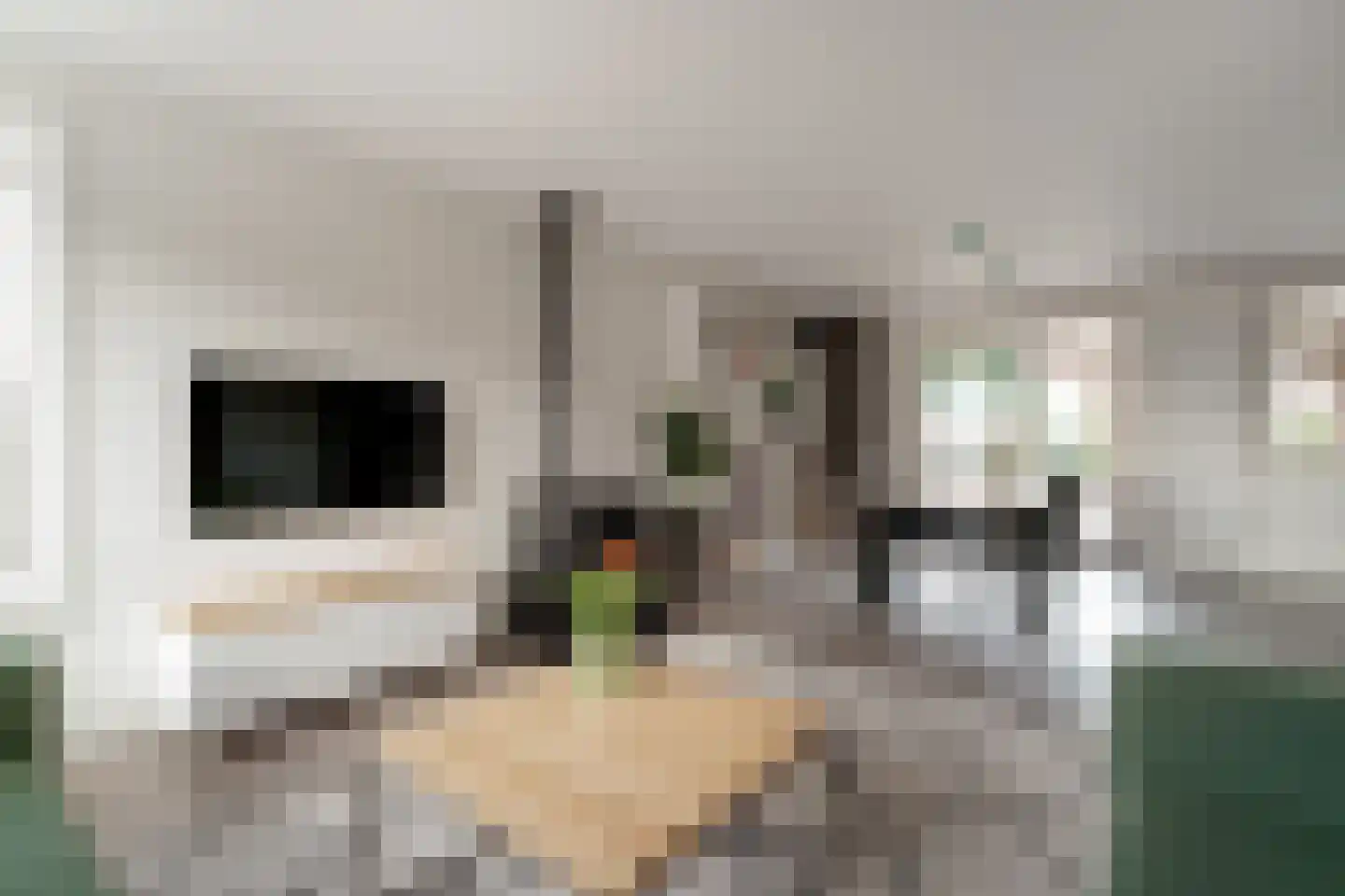Kleefsestraat 1 Beek thumbnail 15