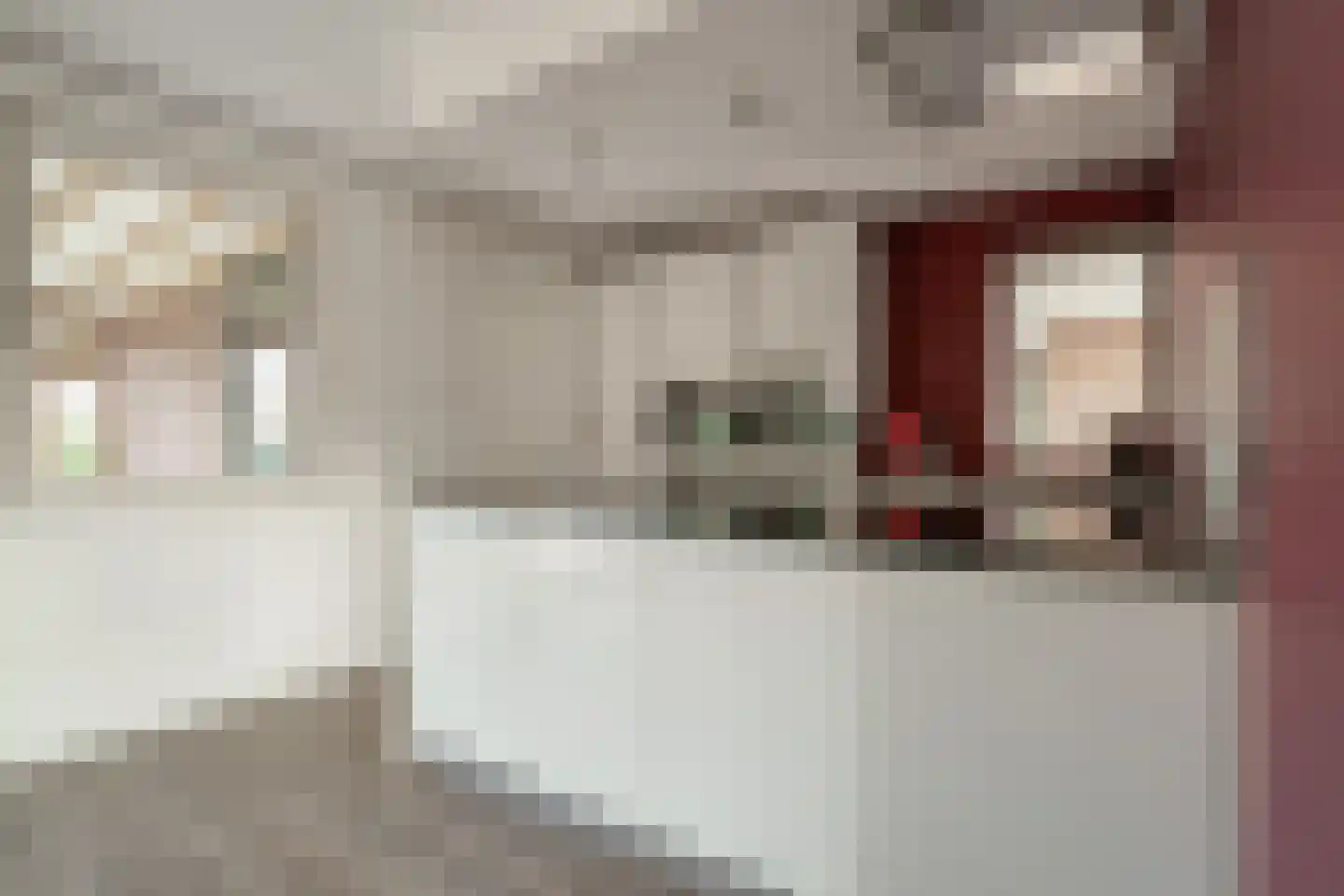 Kleefsestraat 1 Beek thumbnail 28