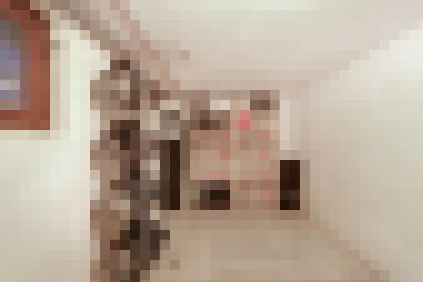Kleefsestraat 1 Beek thumbnail 32