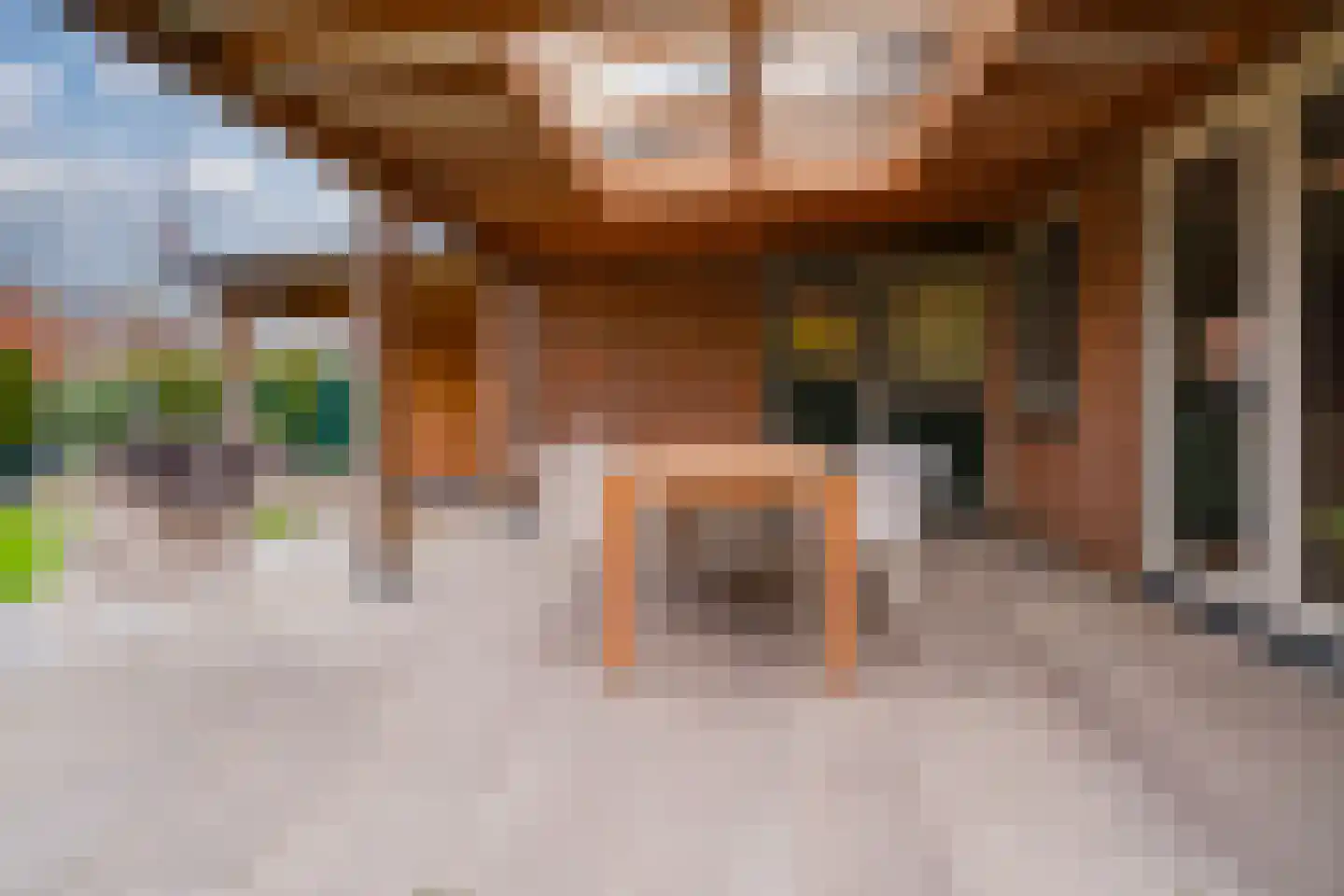 Kleefsestraat 1 Beek thumbnail 34