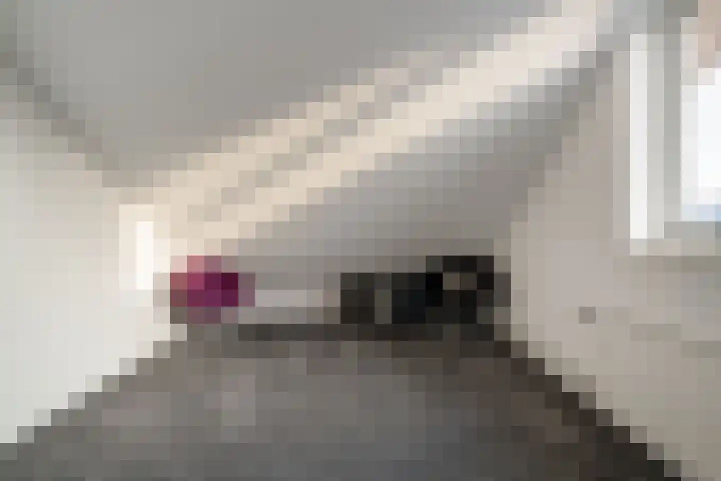 Kleefsestraat 1 Beek thumbnail 61