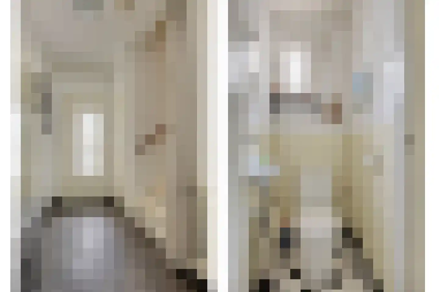 Kleefsestraat 5 Uden thumbnail 13