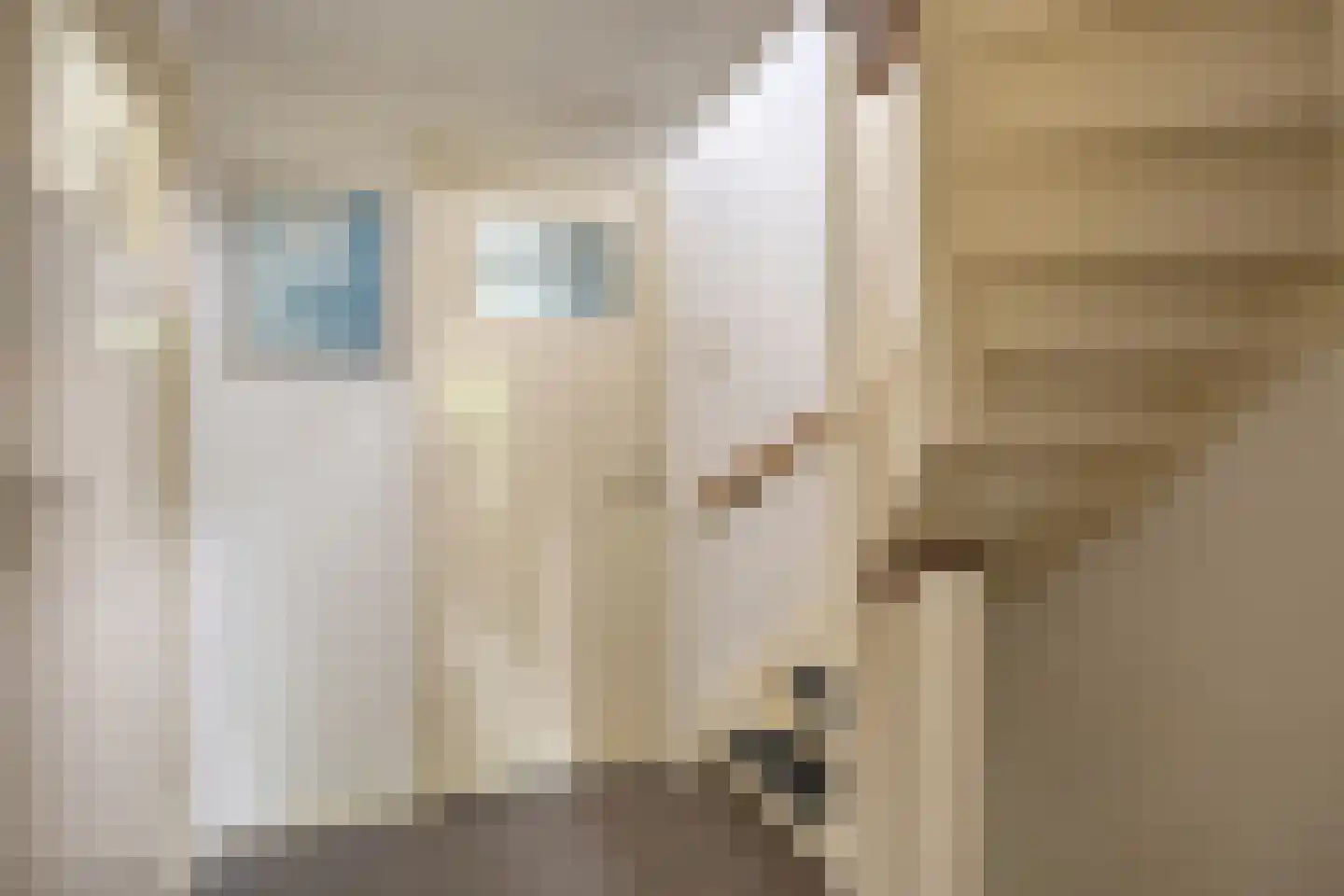 Kleefsestraat 5 Uden thumbnail 23